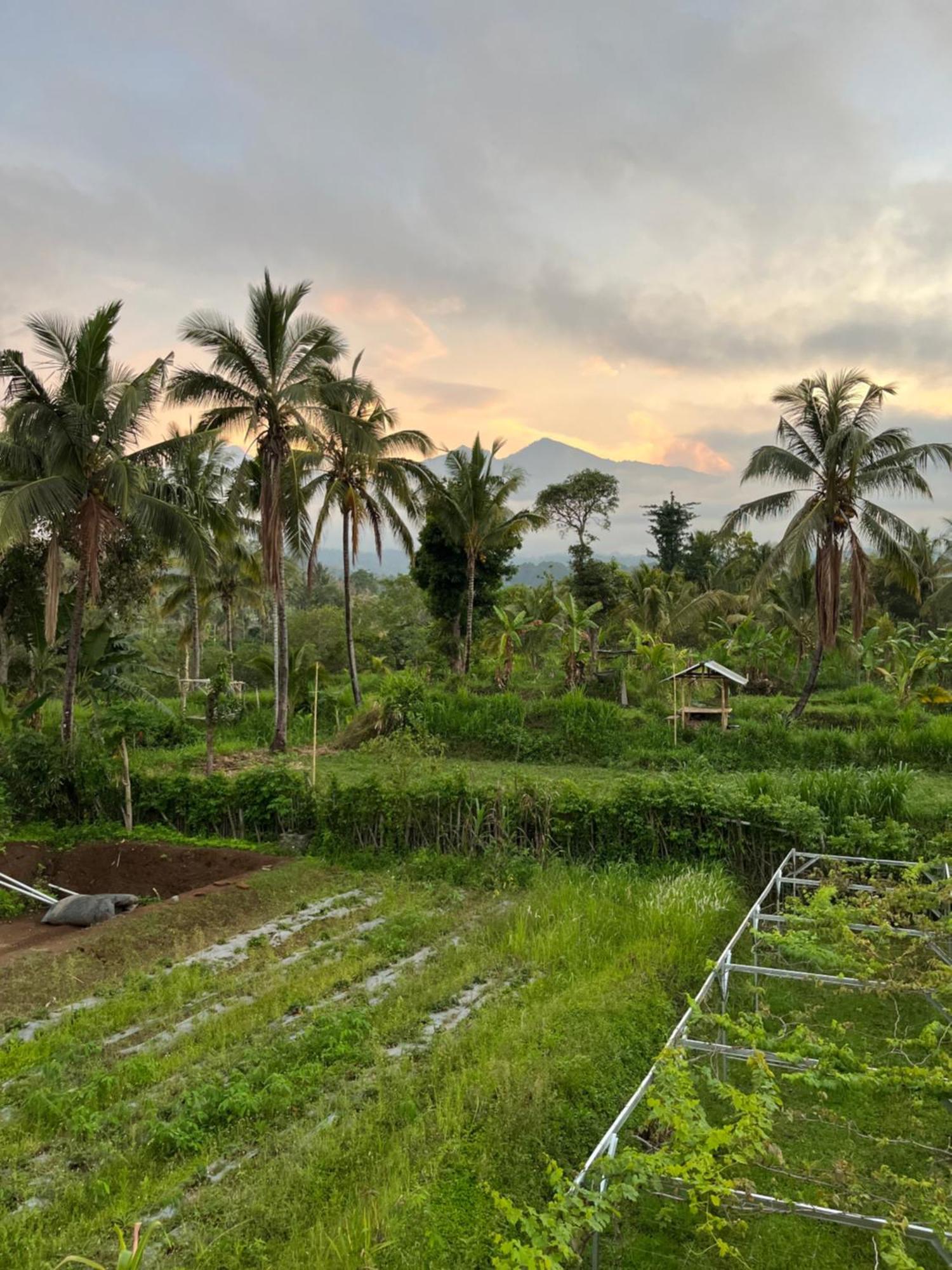 Rinjani Eco Villa Senaru Bayan 외부 사진