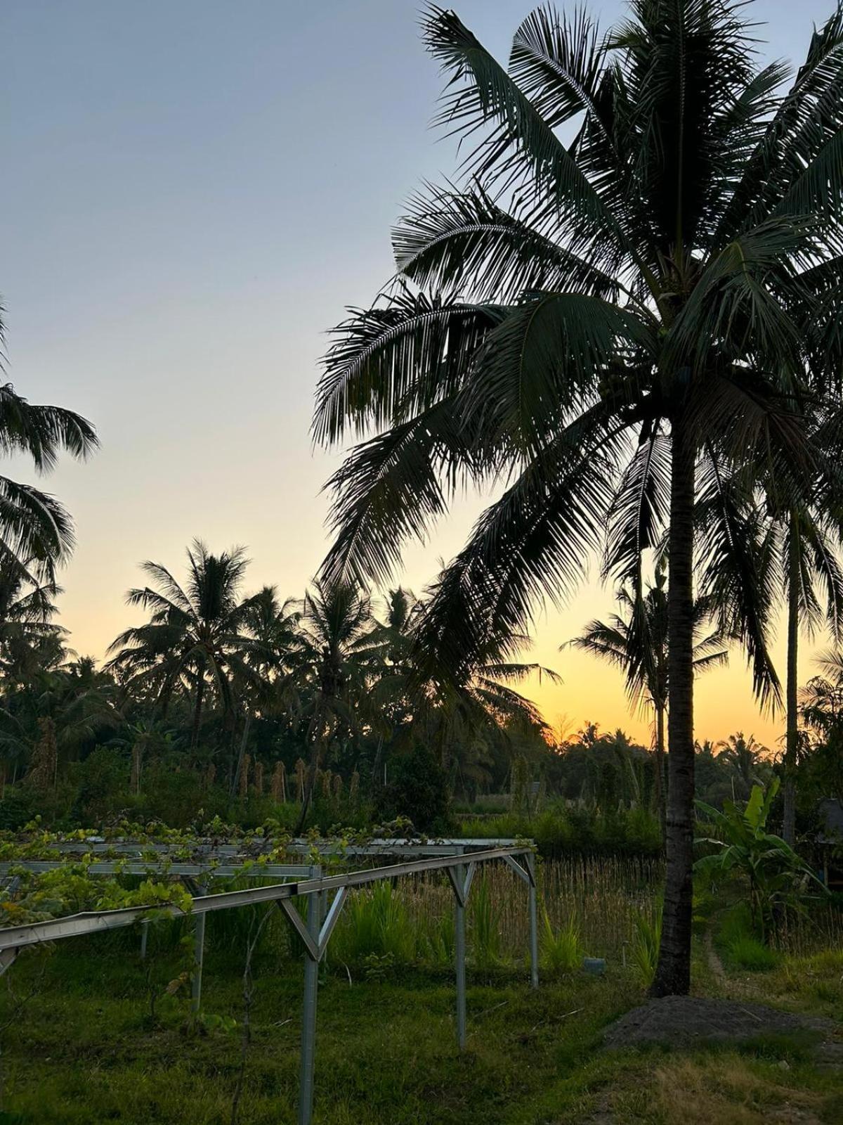 Rinjani Eco Villa Senaru Bayan 외부 사진