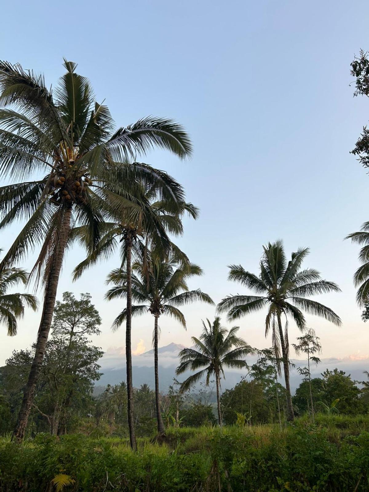 Rinjani Eco Villa Senaru Bayan 외부 사진