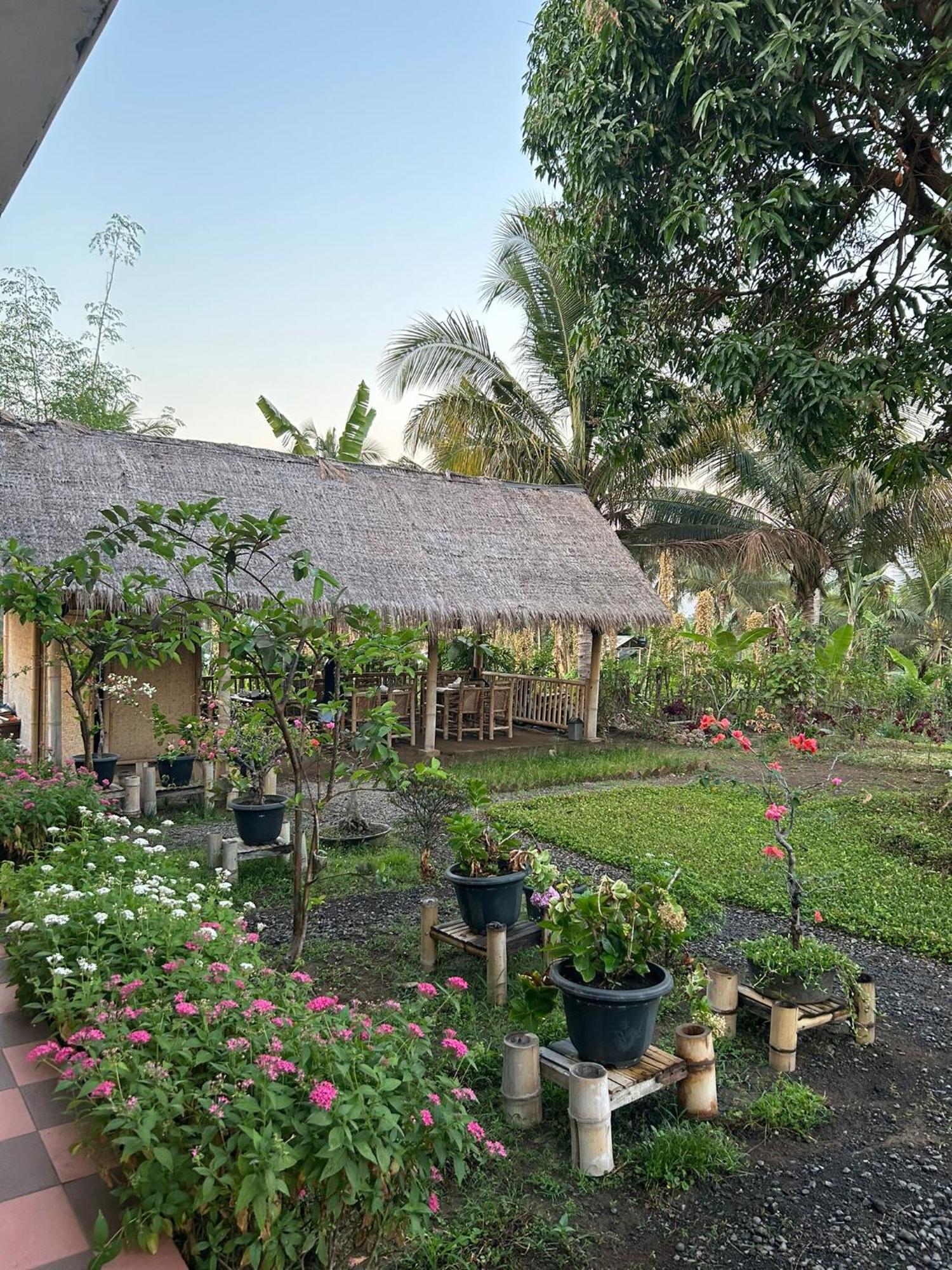Rinjani Eco Villa Senaru Bayan 외부 사진